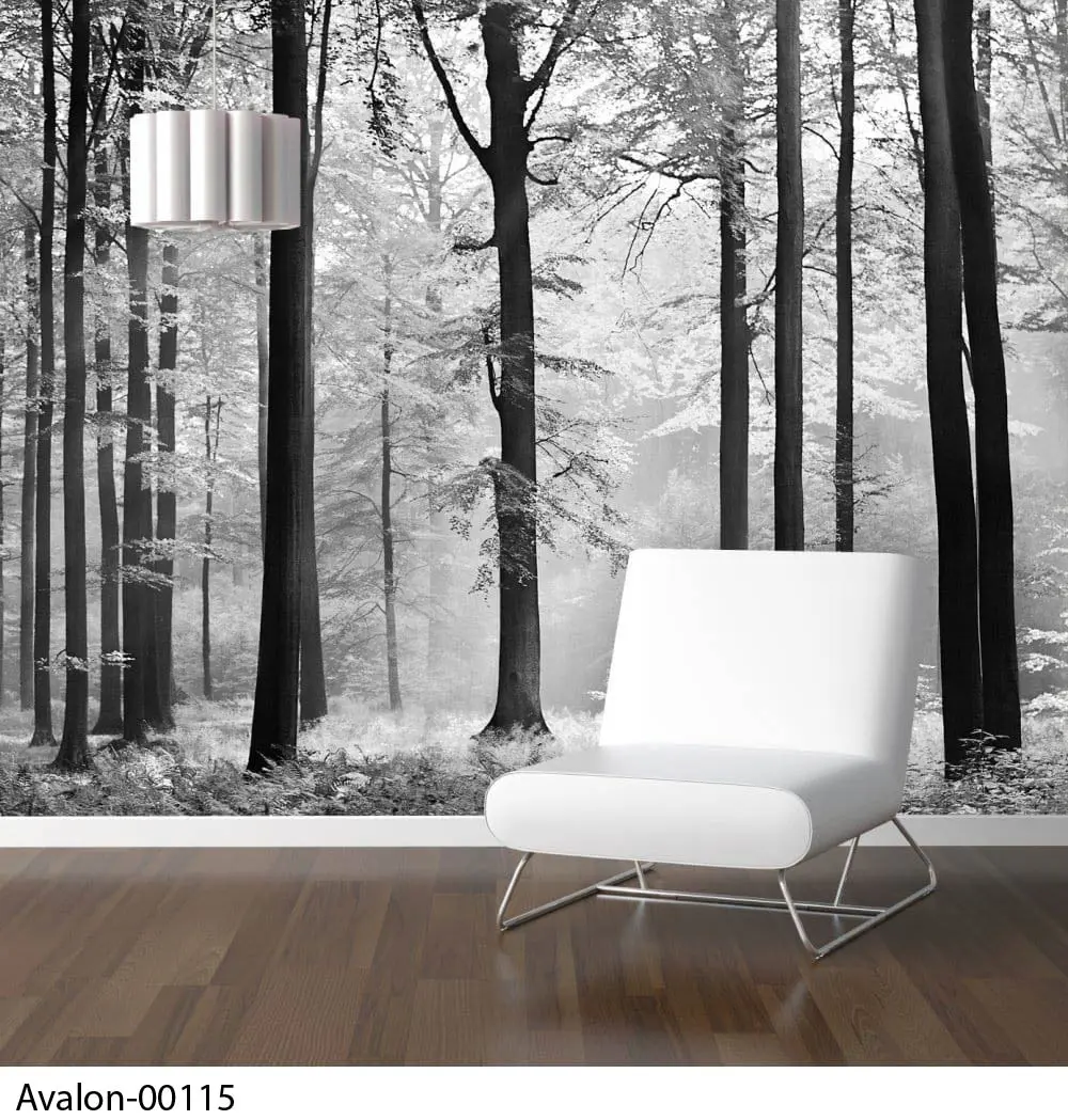 POSTER AVALON QUALITÉ DIGITAL EN 8 PARTS COLLE INCLUSE ORIGINE UE 366 X 254 CM - POSTER - Mr Bricolage : Outillage, Jardinage, Animalerie, Electricité