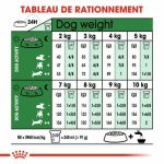 CROQUETTE CHIEN MINI ADULT  8 KG - SEC POUR CHIEN - Mr Bricolage : Outillage, Jardinage, Animalerie, Electricité