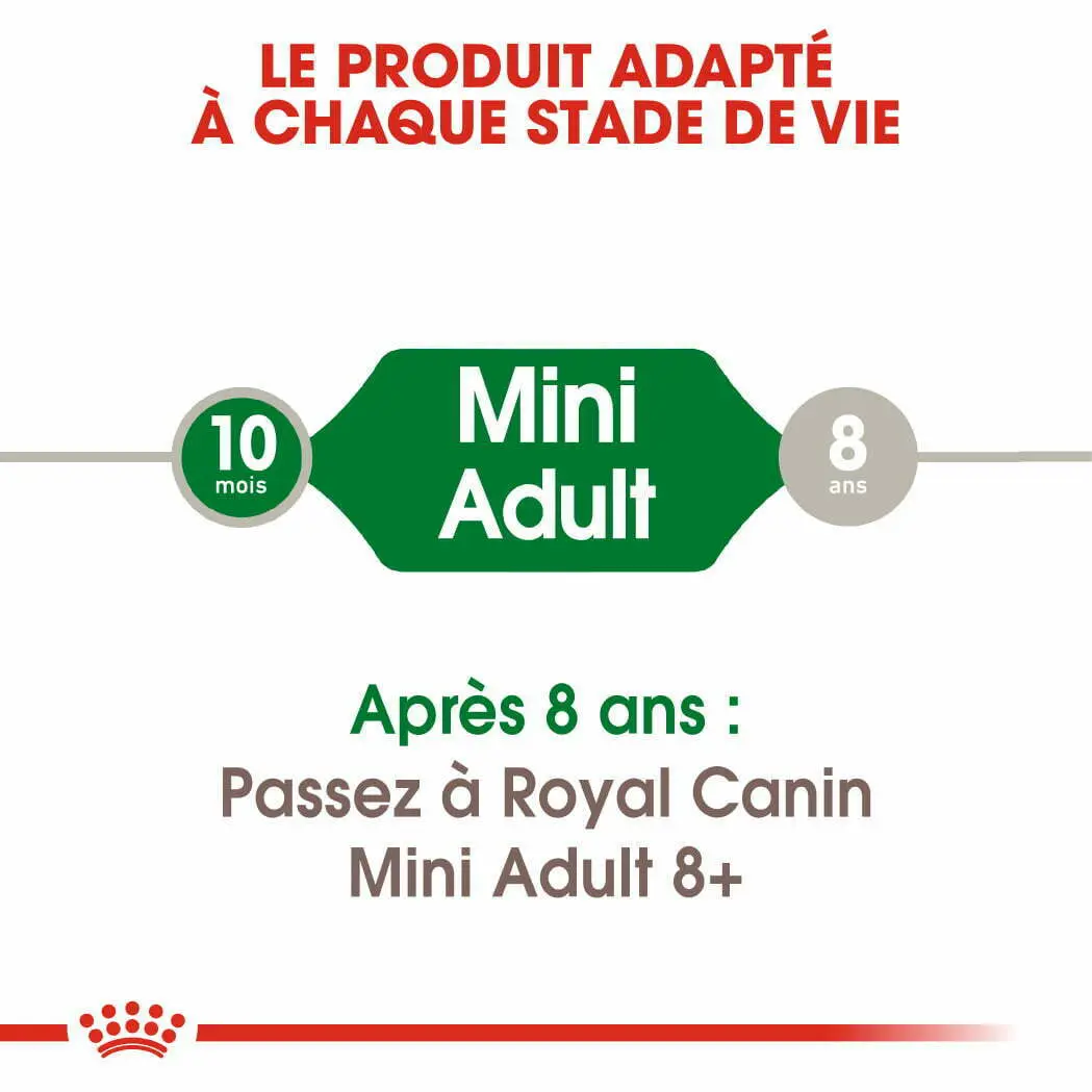 CROQUETTE CHIEN MINI ADULT 2 KG - SEC POUR CHIEN - Mr Bricolage : Outillage, Jardinage, Animalerie, Electricité