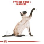 CROQUETTE CHAT FELINE SIAMESE  2 KG - SEC POUR CHAT - Mr Bricolage : Outillage, Jardinage, Animalerie, Electricité
