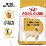 CROQUETTE CHIEN MAXI  LABRADOR  12 KG - SEC POUR CHIEN - Mr Bricolage : Outillage, Jardinage, Animalerie, Electricité