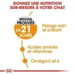 CROQUETTE CHAT HAIR&SKIN  2 KG - SEC POUR CHAT - Mr Bricolage : Outillage, Jardinage, Animalerie, Electricité