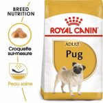 CROQUETTE CHIEN PUG 25 CARLIN ADULTE 1.5 KG - SEC POUR CHIEN - Mr Bricolage : Outillage, Jardinage, Animalerie, Electricité