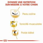 CROQUETTE CHIEN PUG 25 CARLIN ADULTE 1.5 KG - SEC POUR CHIEN - Mr Bricolage : Outillage, Jardinage, Animalerie, Electricité