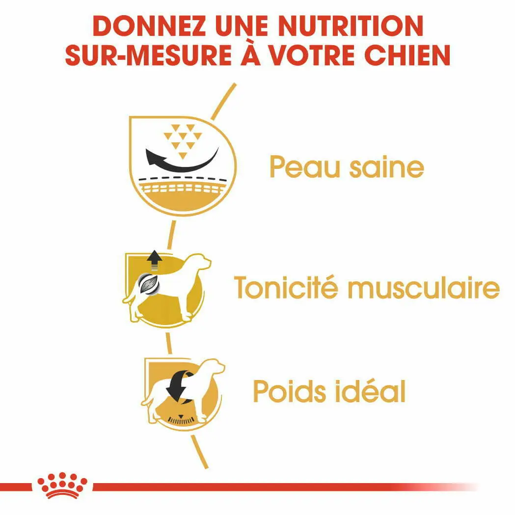 CROQUETTE CHIEN PUG 25 CARLIN ADULTE 1.5 KG - SEC POUR CHIEN - Mr Bricolage : Outillage, Jardinage, Animalerie, Electricité