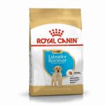 CROQUETTE CHIEN LABRADOR JUNIOR 12 KG - SEC POUR CHIEN - Mr Bricolage : Outillage