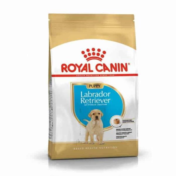 CROQUETTE CHIEN LABRADOR JUNIOR 12 KG - SEC POUR CHIEN - Mr Bricolage : Outillage