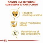 CROQUETTE CHIEN ROTTWEILER  ADULT 12 KG - SEC POUR CHIEN - Mr Bricolage : Outillage, Jardinage, Animalerie, Electricité