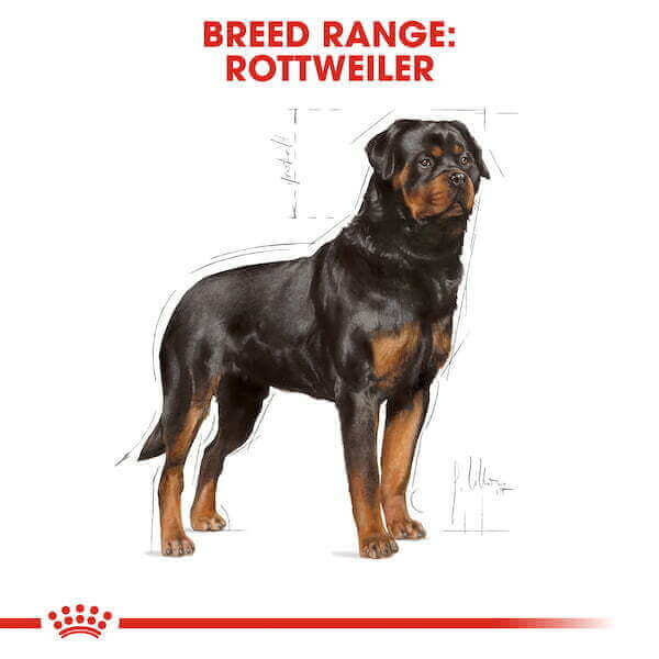 CROQUETTE CHIEN ROTTWEILER  ADULT 12 KG - SEC POUR CHIEN - Mr Bricolage : Outillage, Jardinage, Animalerie, Electricité