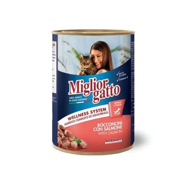 Pate Chat Saumon 450 G Morando