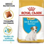CROQUETTE CHIEN JACK RUSSSEL JUNIOR 3 KG - SEC POUR CHIEN - Mr Bricolage : Outillage, Jardinage, Animalerie, Electricité