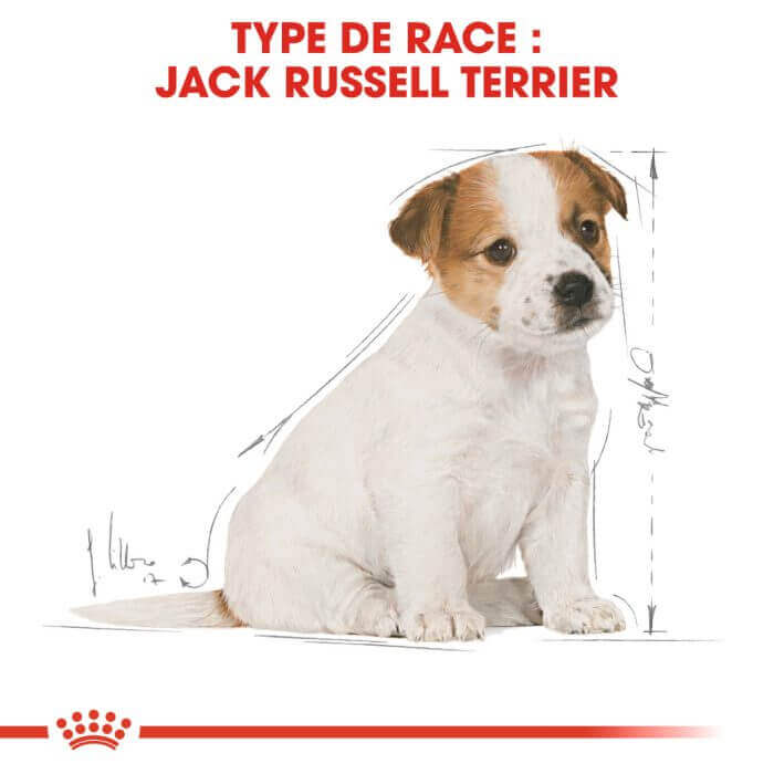 CROQUETTE CHIEN JACK RUSSSEL JUNIOR 3 KG - SEC POUR CHIEN - Mr Bricolage : Outillage, Jardinage, Animalerie, Electricité
