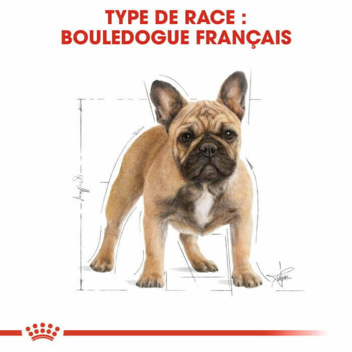 CROQUETTE CHIEN FRENCH BULLDOG ADULT 3KG - SEC POUR CHIEN - Mr Bricolage : Outillage, Jardinage, Animalerie, Electricité