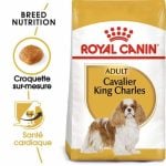 CROQUETTE CHIEN CAVALIER KING CHARLES 1,5 KG - SEC POUR CHIEN - Mr Bricolage : Outillage, Jardinage, Animalerie, Electricité