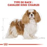 CROQUETTE CHIEN CAVALIER KING CHARLES 1,5 KG - SEC POUR CHIEN - Mr Bricolage : Outillage, Jardinage, Animalerie, Electricité