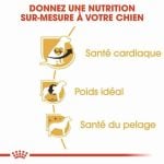 CROQUETTE CHIEN CAVALIER KING CHARLES 1,5 KG - SEC POUR CHIEN - Mr Bricolage : Outillage, Jardinage, Animalerie, Electricité