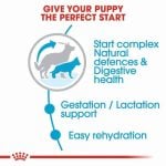 CROQUETTE CHIEN MAXI STARTER 4 KG - SEC POUR CHIEN - Mr Bricolage : Outillage, Jardinage, Animalerie, Electricité