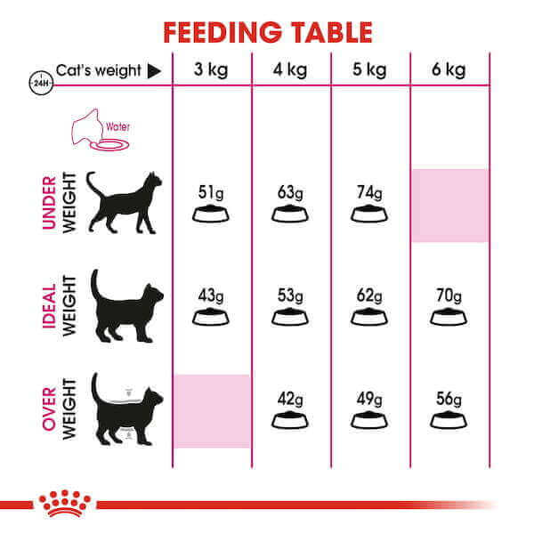 CROQUETTE EXIGENT CHAT 400 G - SEC POUR CHAT - Mr Bricolage : Outillage, Jardinage, Animalerie, Electricité