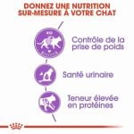CROQUETTE CHAT STERILISED 400 GRAMMES - SEC POUR CHAT - Mr Bricolage : Outillage, Jardinage, Animalerie, Electricité