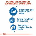 CROQUETTE CHAT INDOOR CHAT 400 GRAMMES - SEC POUR CHAT - Mr Bricolage : Outillage, Jardinage, Animalerie, Electricité