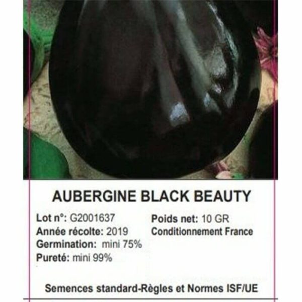 Sachet Aubergine Black 10 Grammes
