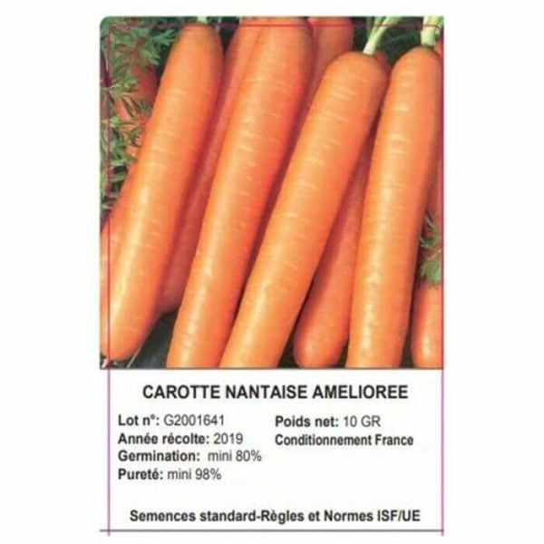 SACHET CAROTTE NANTES 10 GRAMMES - GRAINE - Mr Bricolage : Outillage, Jardinage, Animalerie, Electricité