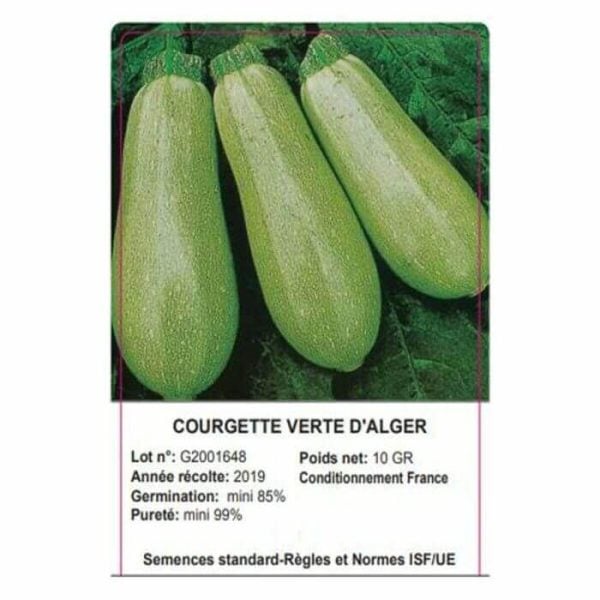 Sachet Courgette Vert D'Alger 10 Grammes