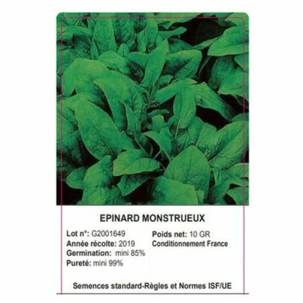 SACHET EPINARD MONSTRUEUX 10 GRAMMES - GRAINE - Mr Bricolage : Outillage, Jardinage, Animalerie, Electricité