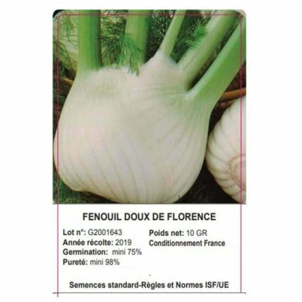 SACHET FENOUIL DOUX DE FLORENCE 10 GRAMMES - GRAINE - Mr Bricolage : Outillage, Jardinage, Animalerie, Electricité