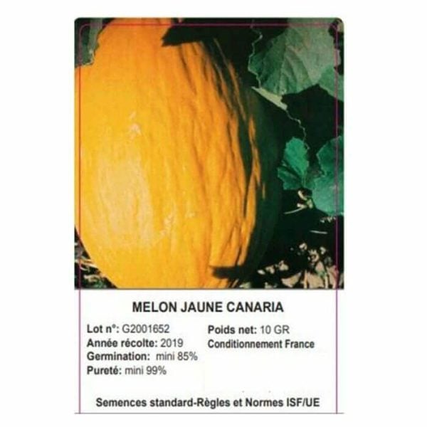 SACHET MELON JAUNE CANARIA 10 GRAMMES - GRAINE - Mr Bricolage : Outillage, Jardinage, Animalerie, Electricité