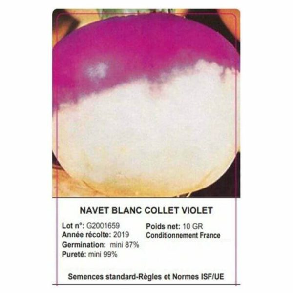 SACHET NAVET BLANC VIOLET 10 GRAMMES - GRAINE - Mr Bricolage : Outillage, Jardinage, Animalerie, Electricité