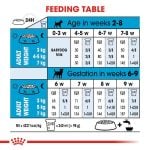 CROQUETTE CHIEN MINI STARTER 1 KG - SEC POUR CHIEN - Mr Bricolage : Outillage, Jardinage, Animalerie, Electricité