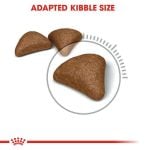CROQUETTE CHAT HAIRBALL 2 KG - SEC POUR CHAT - Mr Bricolage : Outillage, Jardinage, Animalerie, Electricité