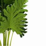 PLANTE ARTIFICIELLE 90CM - DECO ET ACCESSOIRES - Mr Bricolage : Outillage, Jardinage, Animalerie, Electricité
