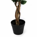 PLANTE POT NOIR 2 ASSORTIMENTS - DECO ET ACCESSOIRES - Mr Bricolage : Outillage, Jardinage, Animalerie, Electricité