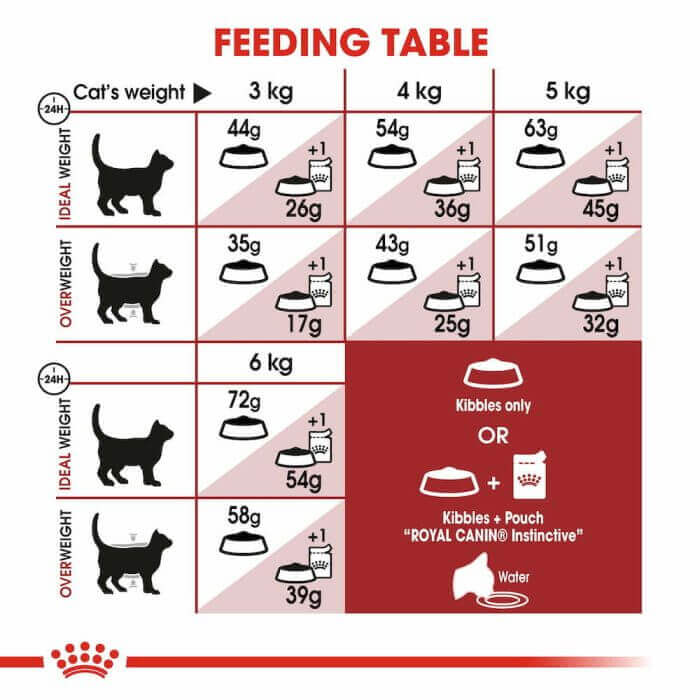 CROQUETTE CHAT  FIT32 400 G - SEC POUR CHAT - Mr Bricolage : Outillage, Jardinage, Animalerie, Electricité