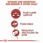 CROQUETTE CHAT  FIT32 400 G - SEC POUR CHAT - Mr Bricolage : Outillage, Jardinage, Animalerie, Electricité