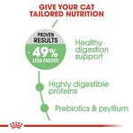 CROQUETTE CHAT  DIGESTIVE CARE 2KG - SEC POUR CHAT - Mr Bricolage : Outillage, Jardinage, Animalerie, Electricité