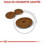 CROQUETTE CHAT  DIGESTIVE CARE 2KG - SEC POUR CHAT - Mr Bricolage : Outillage, Jardinage, Animalerie, Electricité