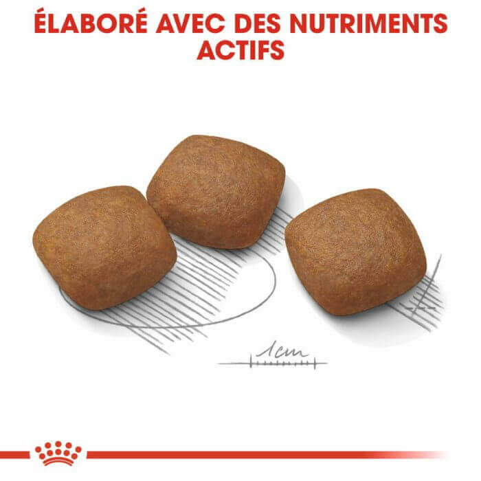 CROQUETTE CHIEN MAXI JOINT CARE  10 KG - SEC POUR CHIEN - Mr Bricolage : Outillage, Jardinage, Animalerie, Electricité