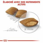 CROQUETTE CHIEN MINI EXIGENT 3 KG  - SEC POUR CHIEN - Mr Bricolage : Outillage, Jardinage, Animalerie, Electricité