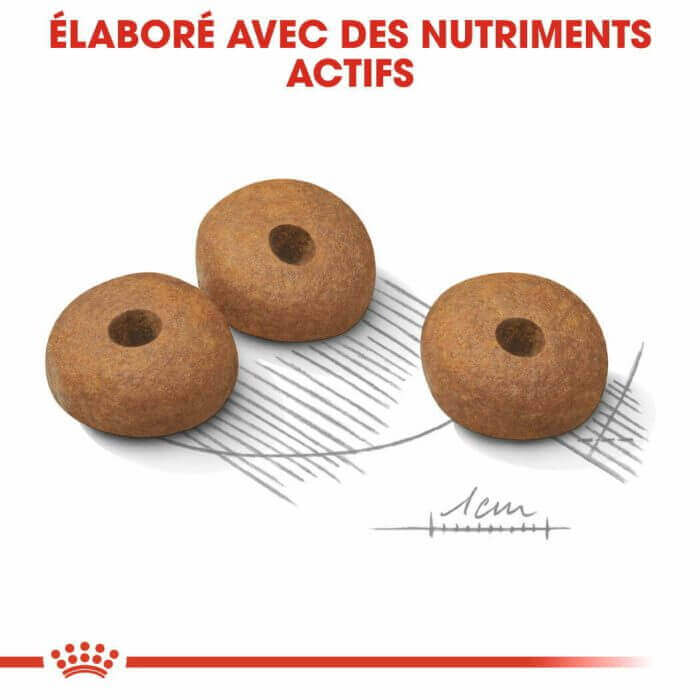 CROQUETTE MINI LIGHT WEIGHT CARE 3 KG - SEC POUR CHIEN - Mr Bricolage : Outillage, Jardinage, Animalerie, Electricité