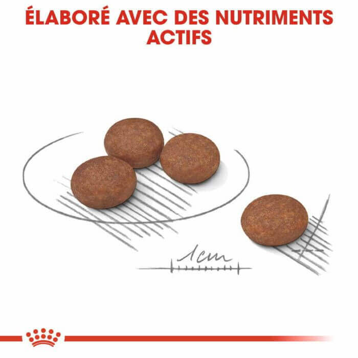 CROQUETTE CHIEN MINI DIGESTCARE 3 KG - SEC POUR CHIEN - Mr Bricolage : Outillage, Jardinage, Animalerie, Electricité