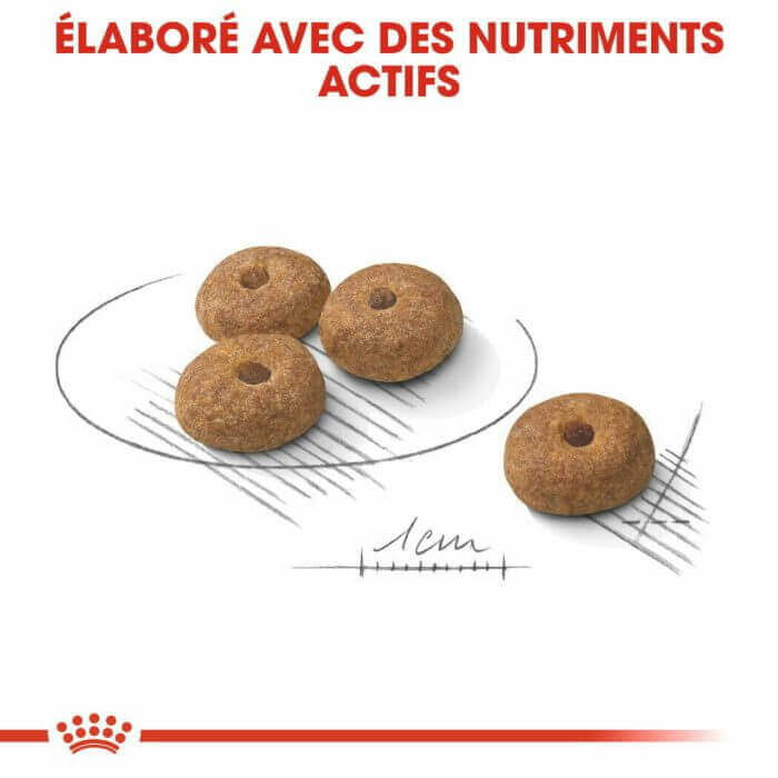 CROQUETTE CHIEN MINI STERILISED 3 KG - SEC POUR CHIEN - Mr Bricolage : Outillage, Jardinage, Animalerie, Electricité