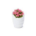 Pot De Fleurs Passa Bas Blanc – Image 2