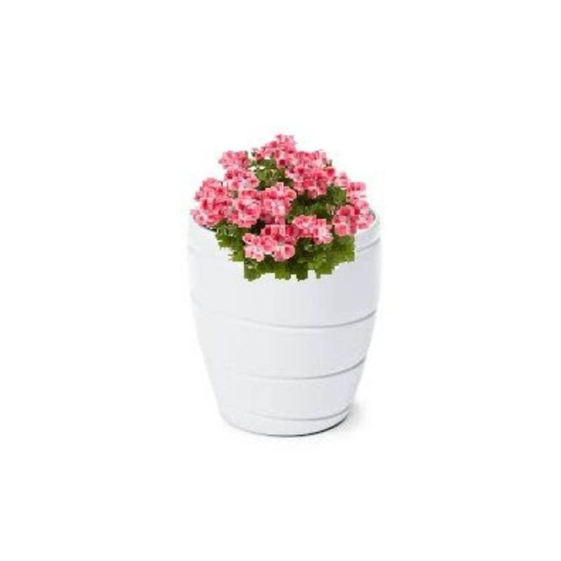 Pot De Fleurs Passa Bas Blanc – Image 2