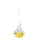 Piege A Guepes 17Xh20Cm