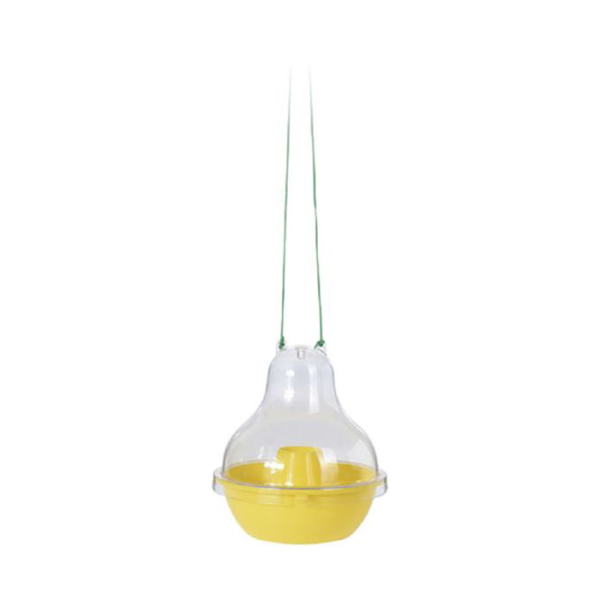 Piege A Guepes 17Xh20Cm