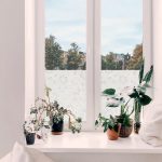 Adhesif transparent pour fenetres damast – Image 2