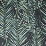 Papier Peint Paradisio Feuille De Fronde Tropical